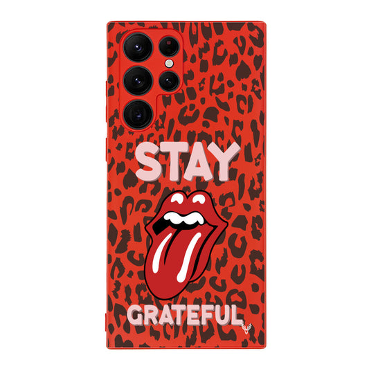 RenkliSilikonKırmızı