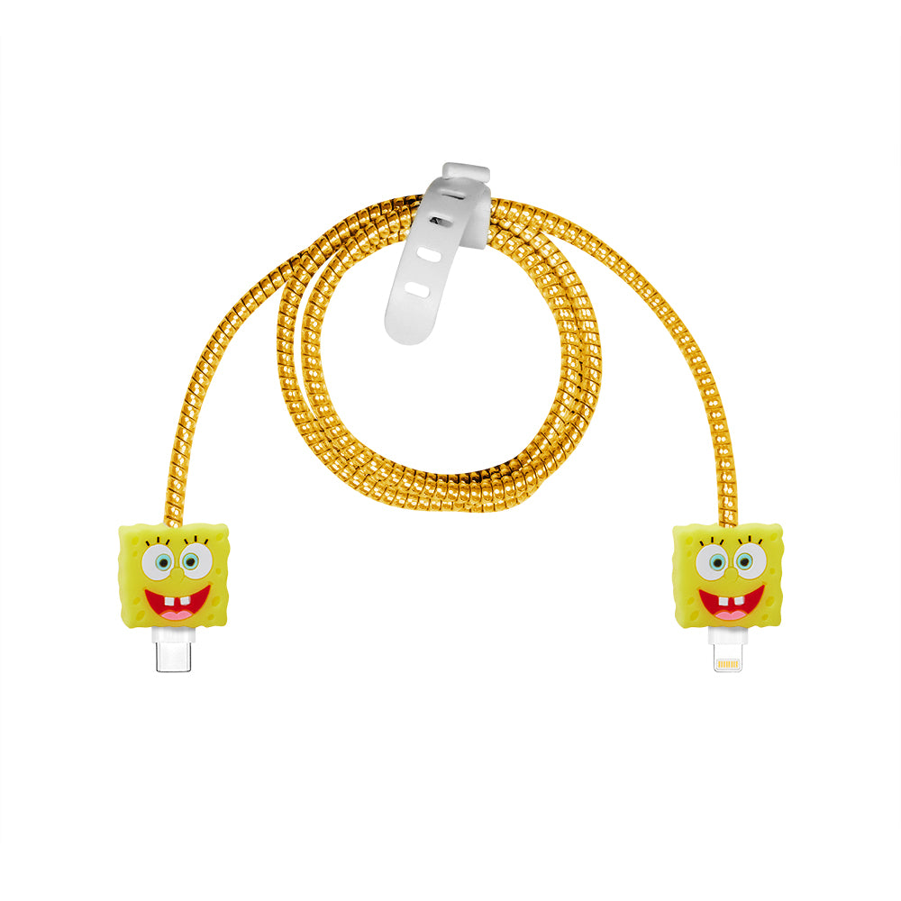 Şarj Başlığı ve Kablo Koruyucu 5 li Set Sponge
