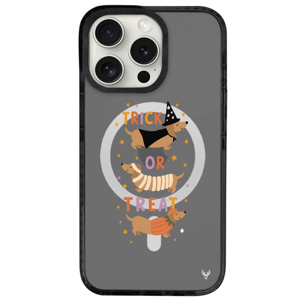 MagsafeliArtycaseCoolBlack