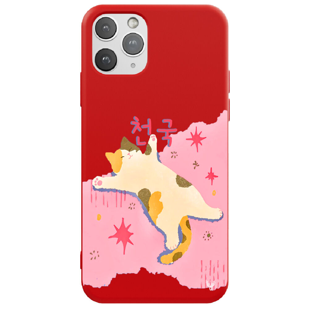 RenkliSilikonKırmızı