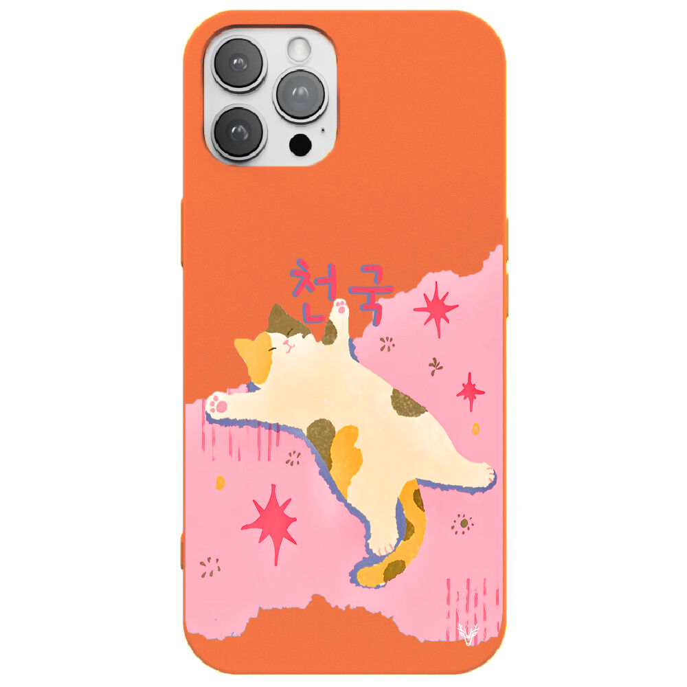 RenkliSilikonTuruncu