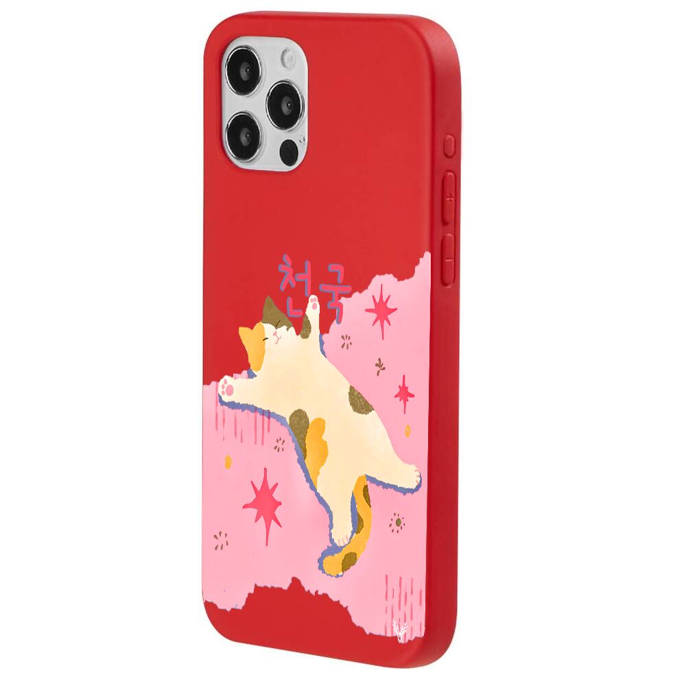 RenkliSilikonKırmızı