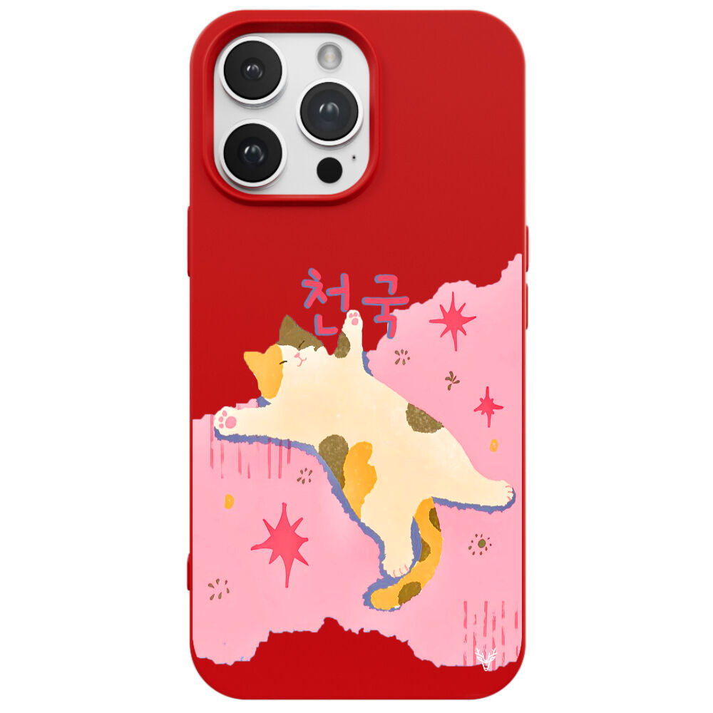 RenkliSilikonKırmızı