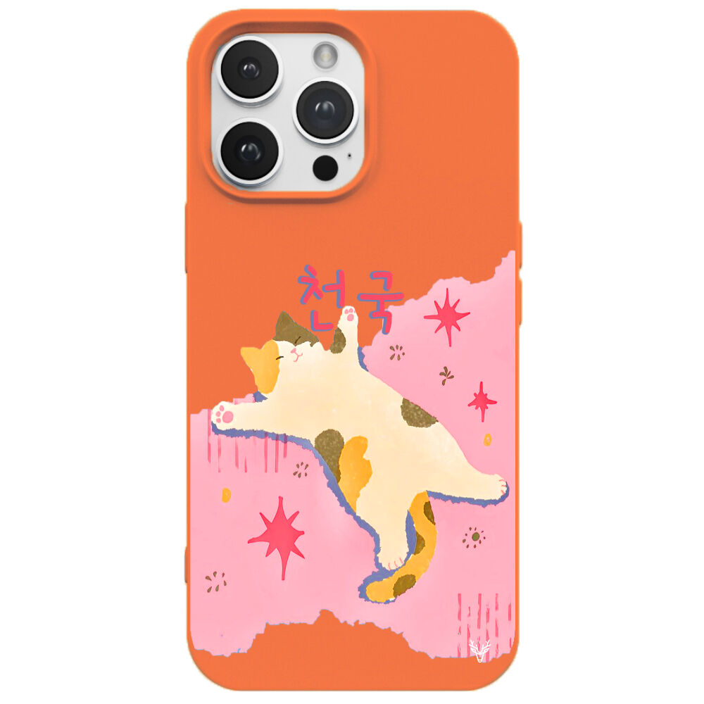 RenkliSilikonTuruncu