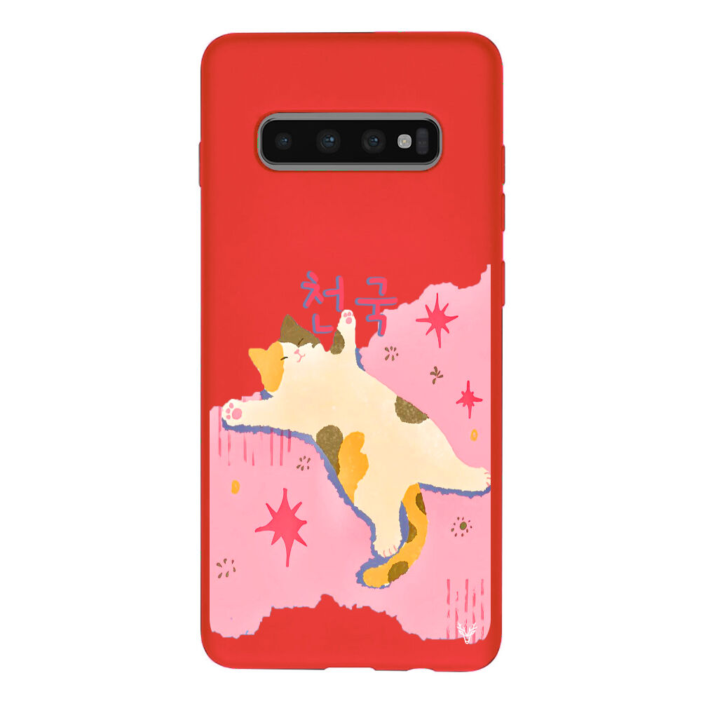 RenkliSilikonKırmızı