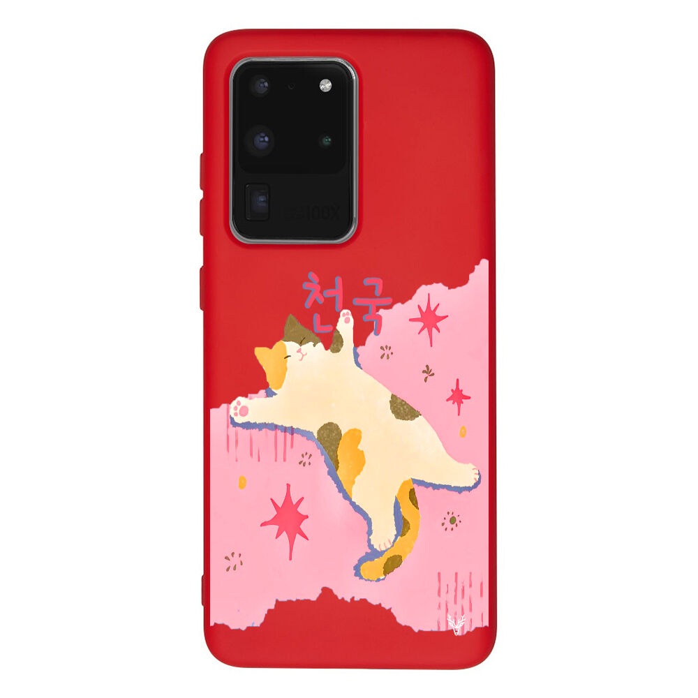 RenkliSilikonKırmızı