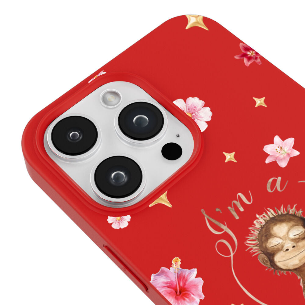 RenkliSilikonKırmızı