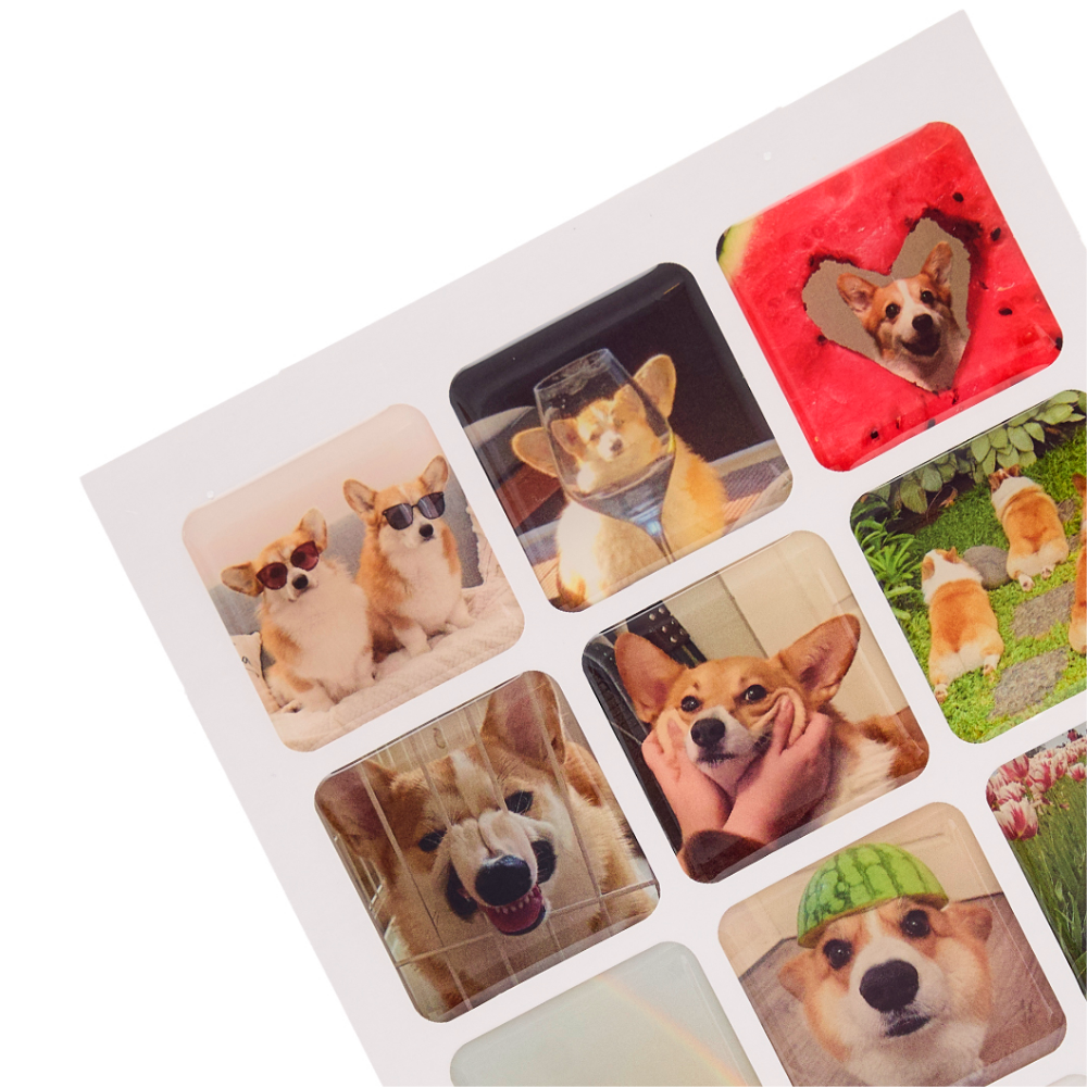 Cute Corgi Stickers
