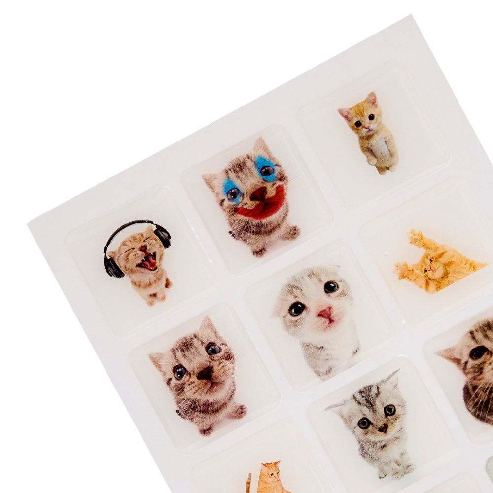 Funny Cat Stickers