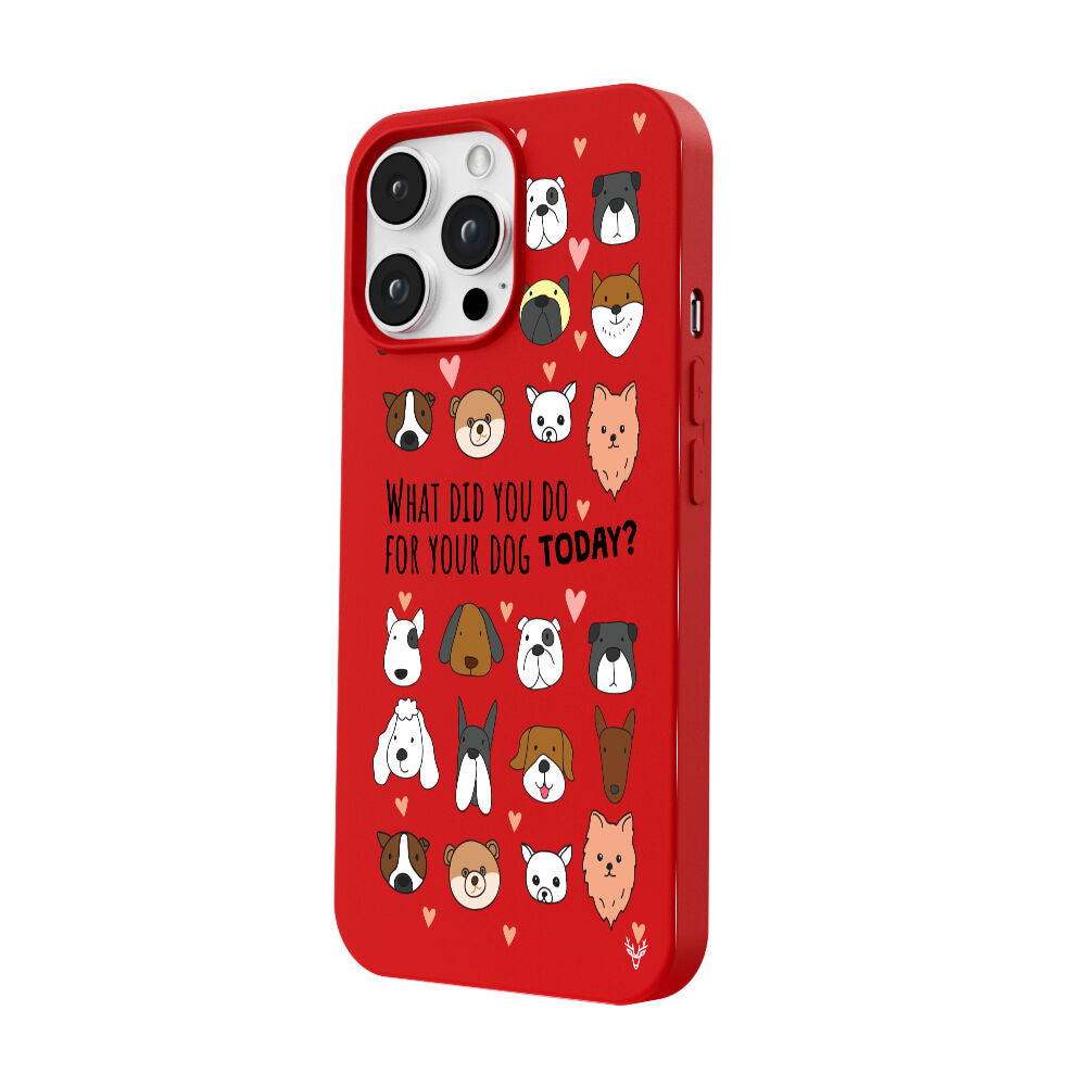 RenkliSilikonKırmızı