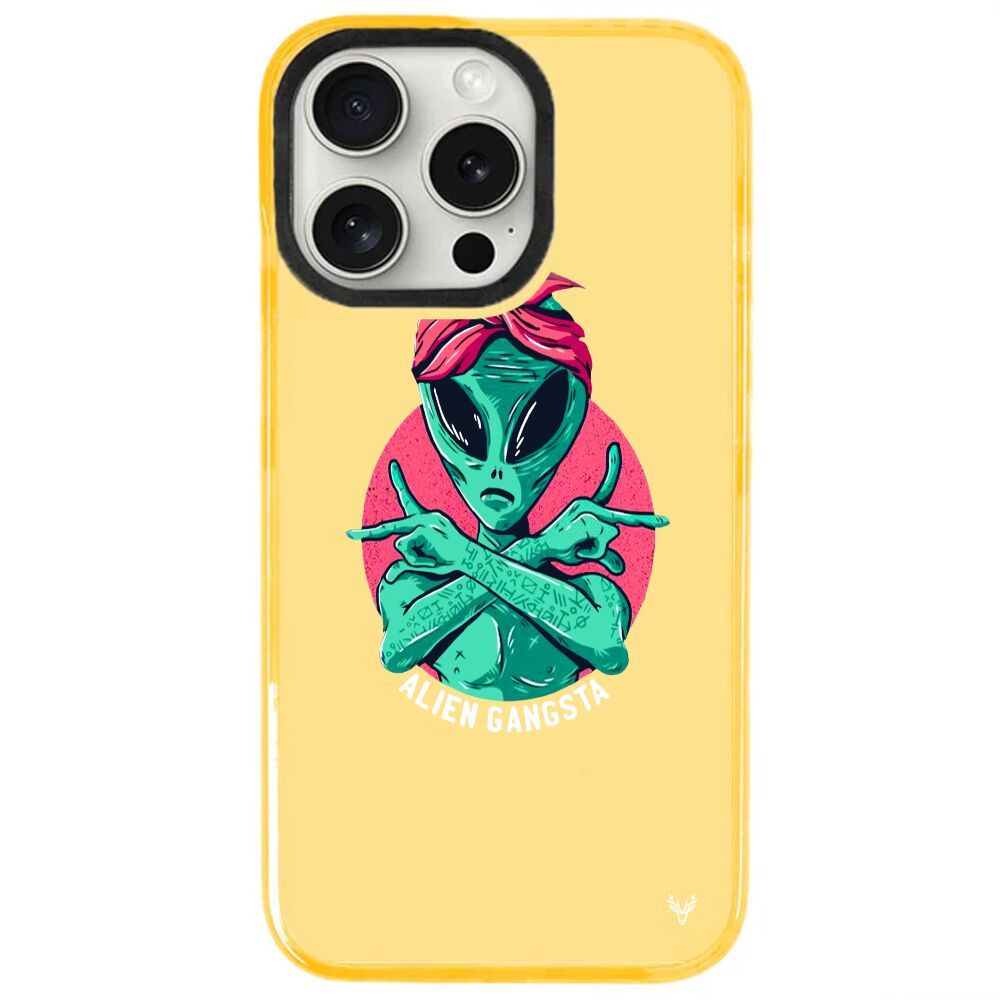 ArtycaseMango