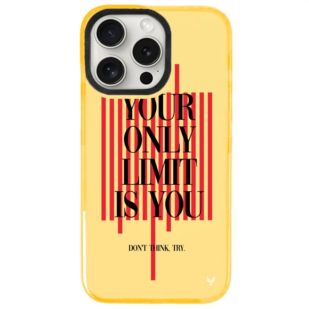 ArtycaseMango