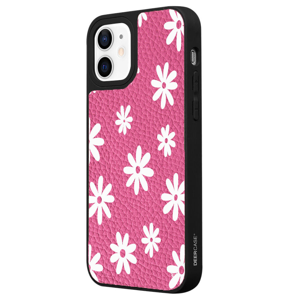 DeriPembe