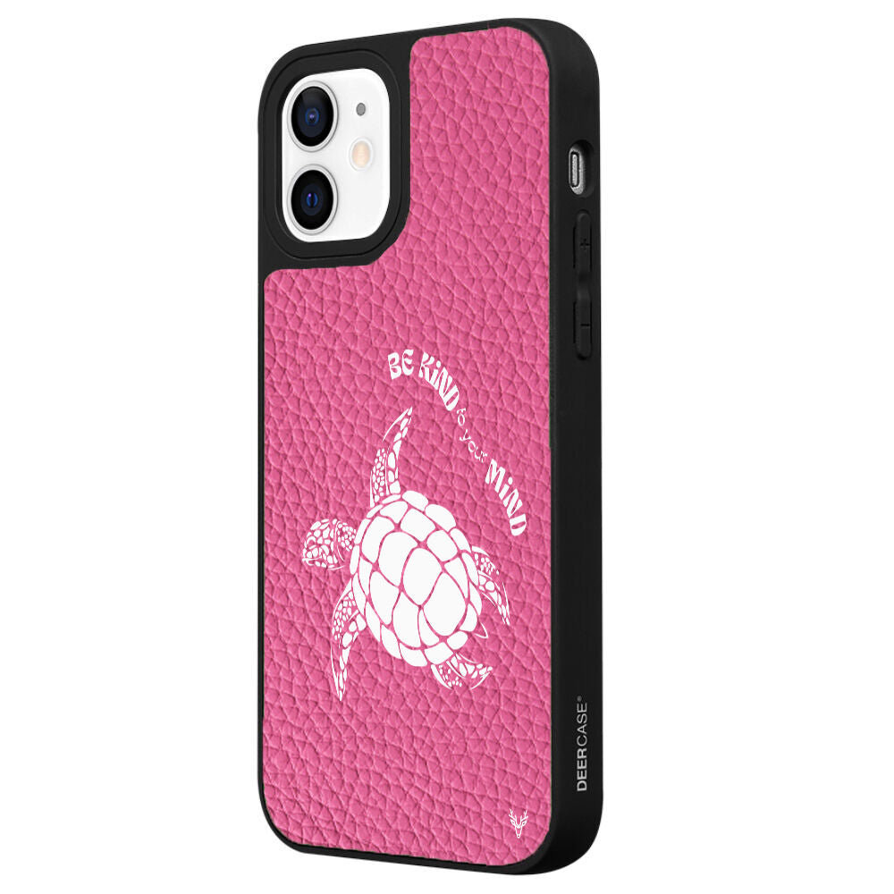 DeriPembe