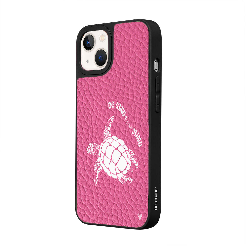 DeriPembe