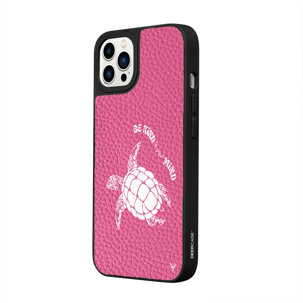 DeriPembe