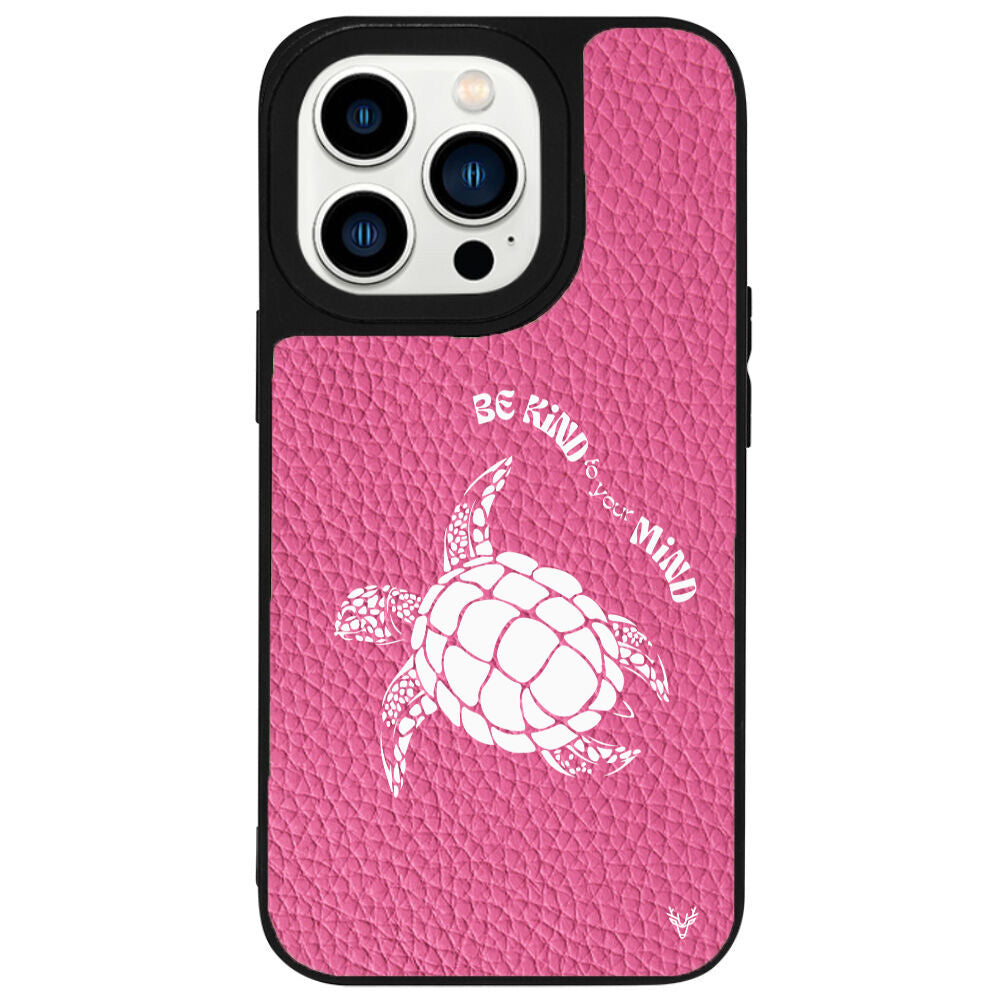 DeriPembe