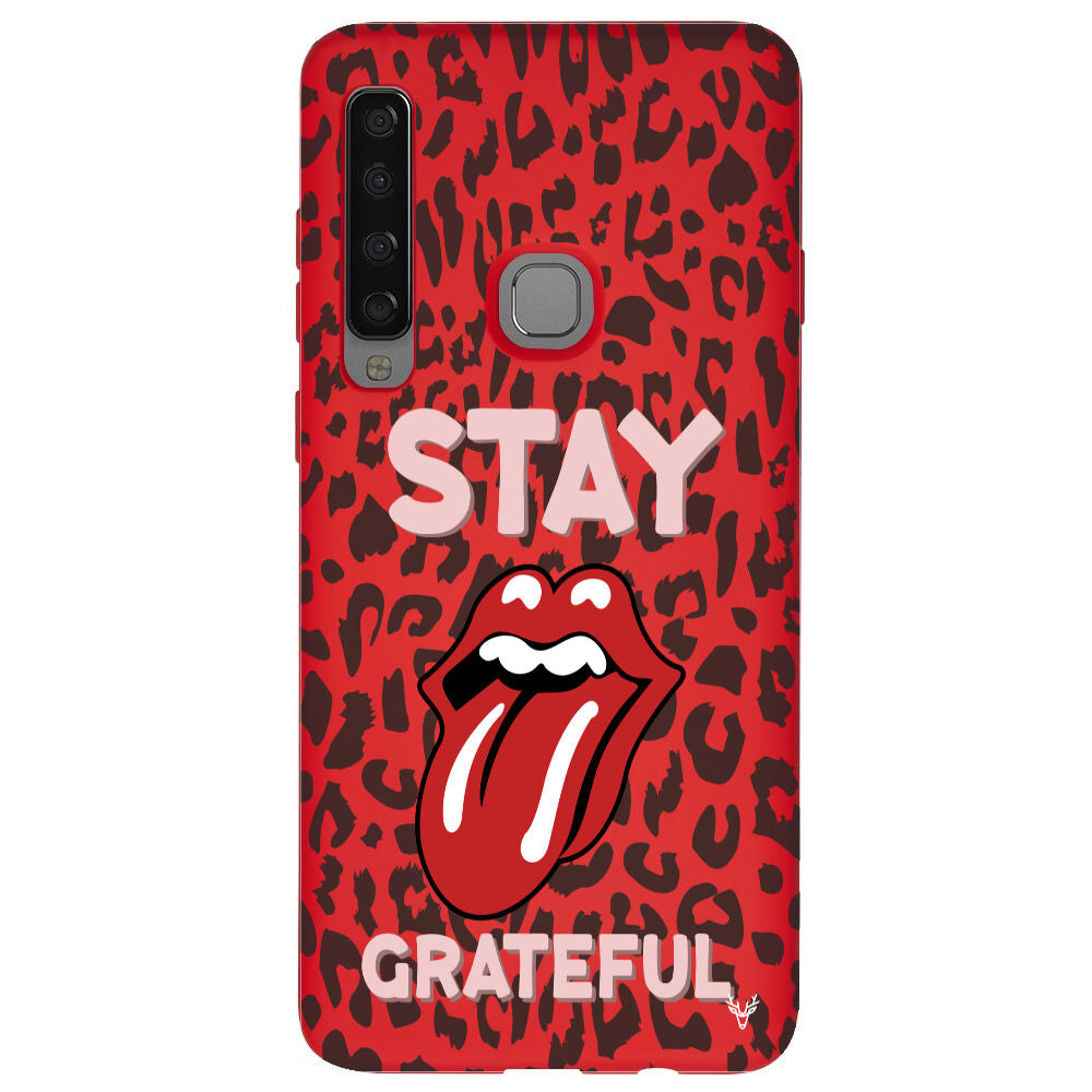 RenkliSilikonKırmızı