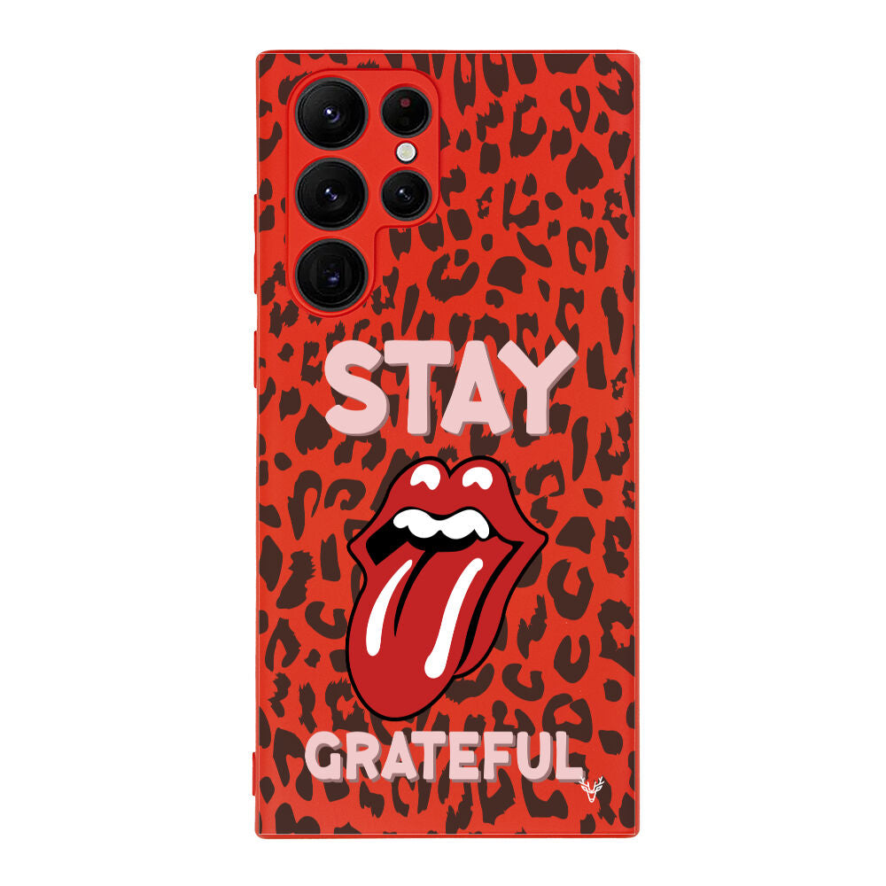 RenkliSilikonKırmızı